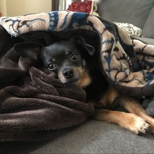 Meet your Posher, Mireina